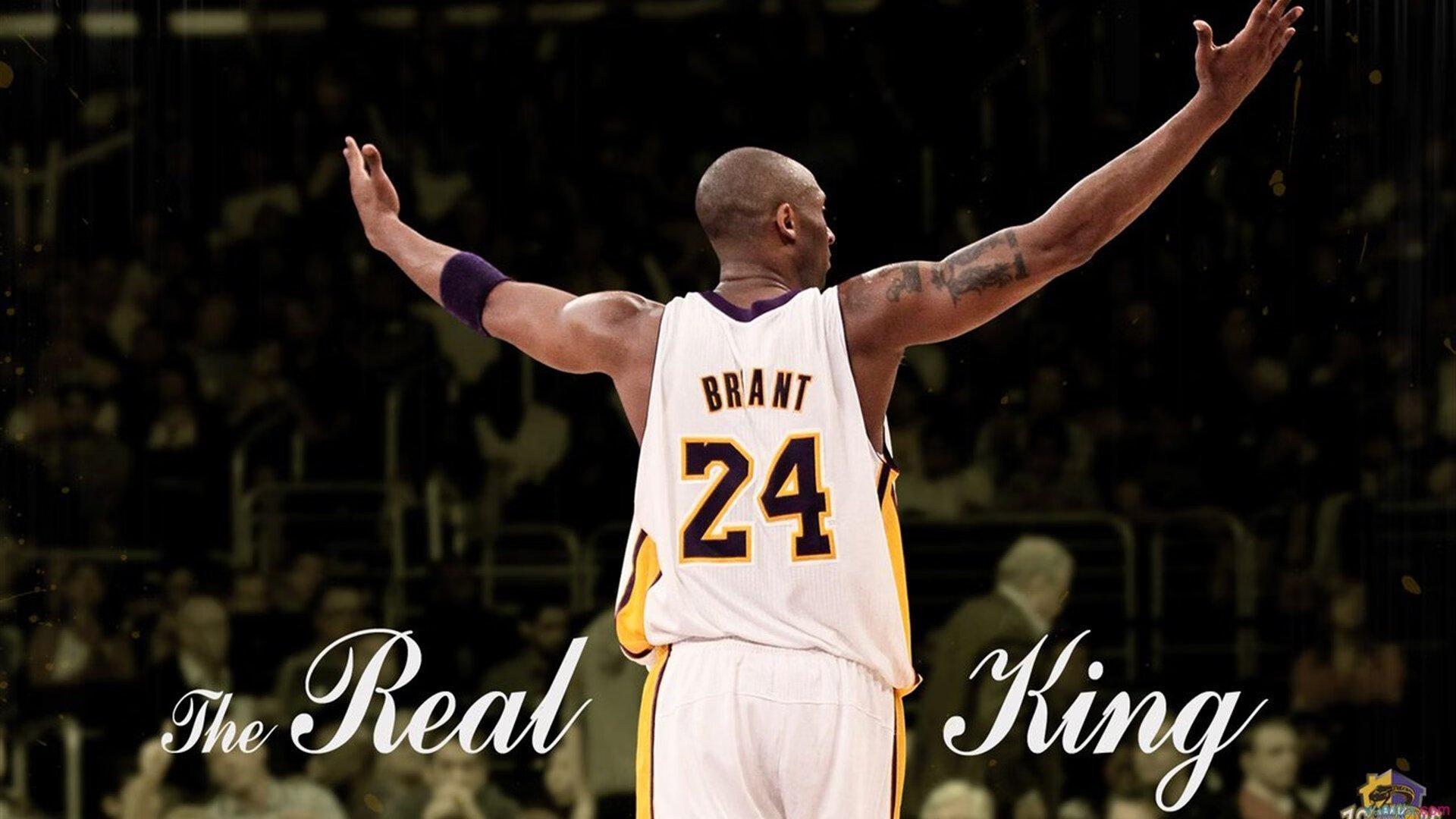 世界杯：替补席保暖装备多样化 球员裹毯照走红网络